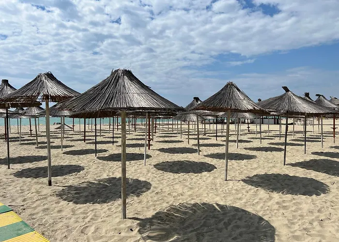 Andrea&alice - * 格勒姆